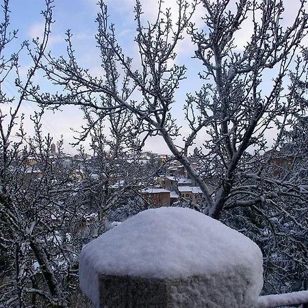 Primavera Mini