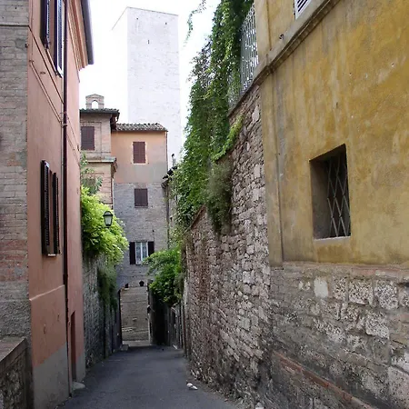 Primavera Mini